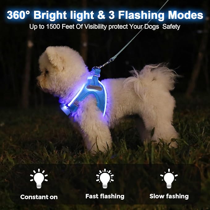 Light Up Dog Harness,Rechargeable LED Dog Harness for Small Medium Large Dogs,Reflective Lighted Safety Vest for Night Walking & Camping,Lightweight & Adjustable,Sky Blue,M
