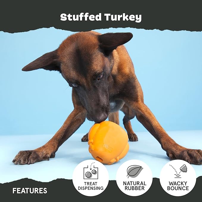 BARK Stuffed Turkey Dog Toy | Natural Rubber, Treat Dispensing, Perfect for Peanut Butter | Dog Toy for Aggressive Chewers