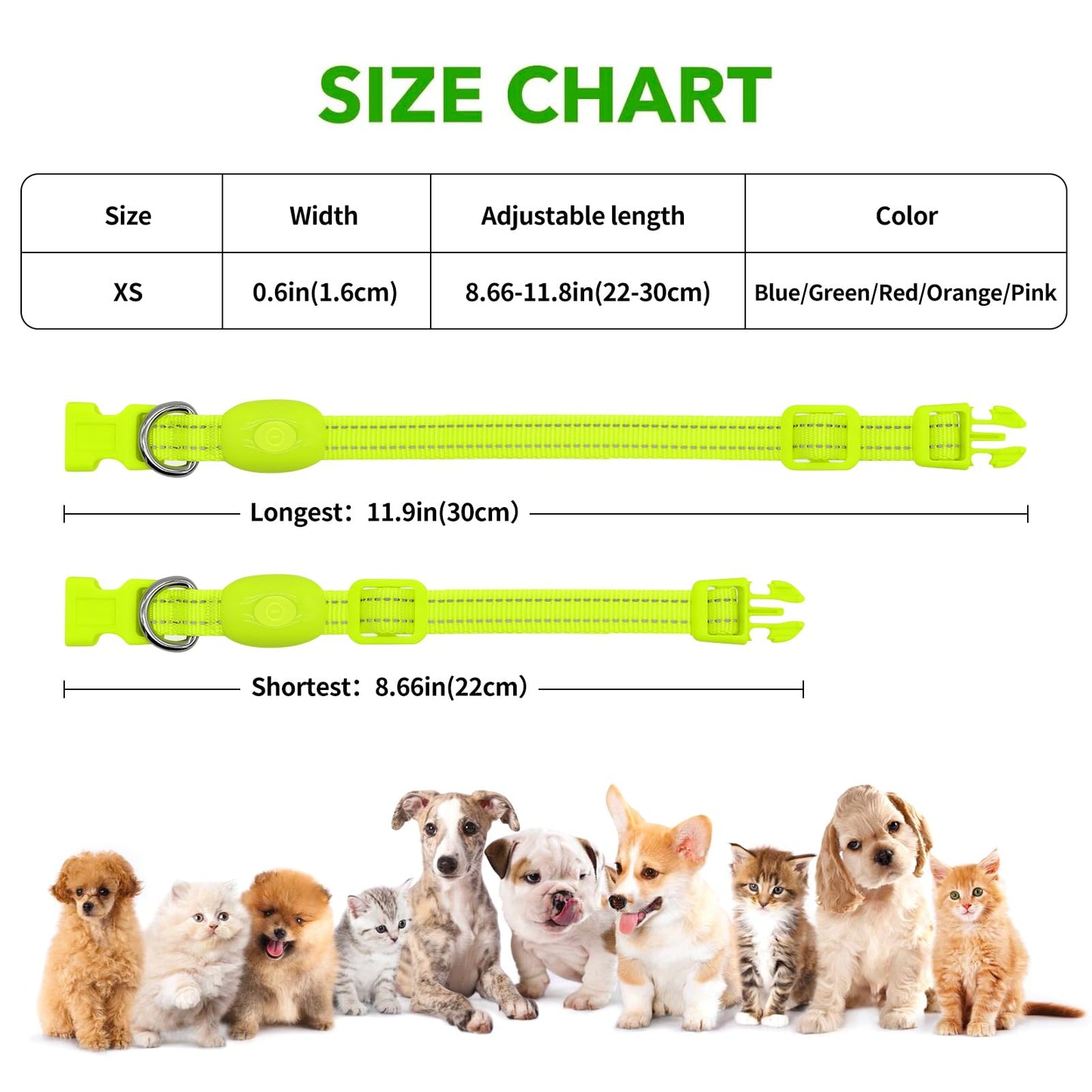 Light Up Collar for Small Dogs Cats - Reflective LED Dog Collar Glow in The Dark, Safety Pet Collar Lights for Nighttime Walking (Green)