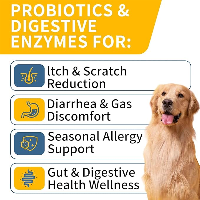 Probiotics for Dogs, Improve Itchy Skin Itchy Ears, Gut Health, Yeast Balance, Allergies, Immunity, Dog Probiotics and Digestive Enzymes with Prebiotics, Reduce Diarrhea (Chicken, 120 chews)