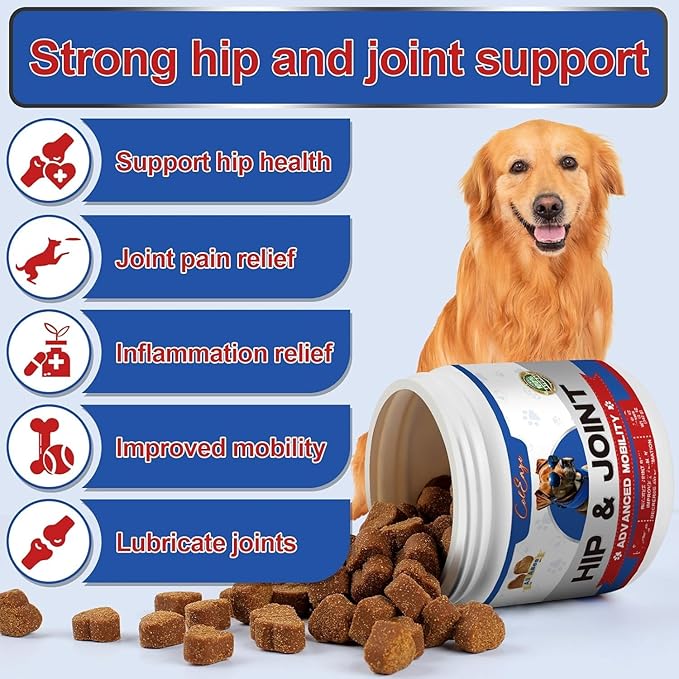 Glucosamine for Dogs 150 Count - Hip and Joint Supplement Chews with Chondroitin, MSM & Turmeric, Chondroitin Joint Supplement for Dogs - Hip & Joint Care for Joint Pain Relief - Chicken Flavor