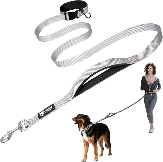 TSPRO Hands Free Dog Leash Adjustable Walking Running Dog Leash with Control Safety Padded Handle and Heavy Duty Clasp for Medium Large Dogs (Silver 25)