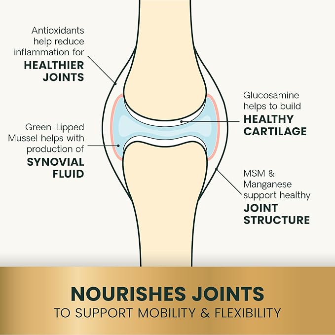 VetriScience Glycoflex 3 Clinically Proven Hip and Joint Supplement for Dogs - Maximum Strength Dog Supplement with Glucosamine, MSM, Green Lipped Mussel & DMG - 120 Chewable Tablets, Chicken Flavor