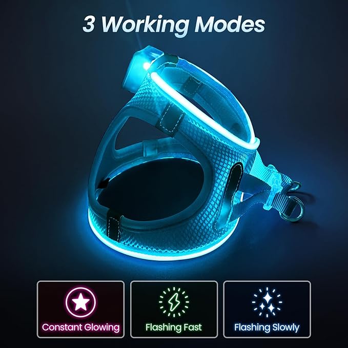 PceoTllar Light Up Dog Harness, LED No Pull Reflective Dog Harness, Flashing Lighted for Night Walking - Small/Medium, (Blue XS)