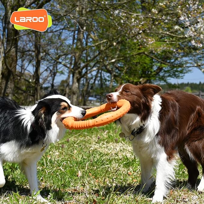 LaRoo Dog Ring Toy - Durable Flying Ring for Fetch,Water Play & Training Tough,Chew-Proof Design for Aggressive Chewer Breeds, Easy-Throw Lightweight Frisbee for Medium/Large Dogs (Orange/30cm)
