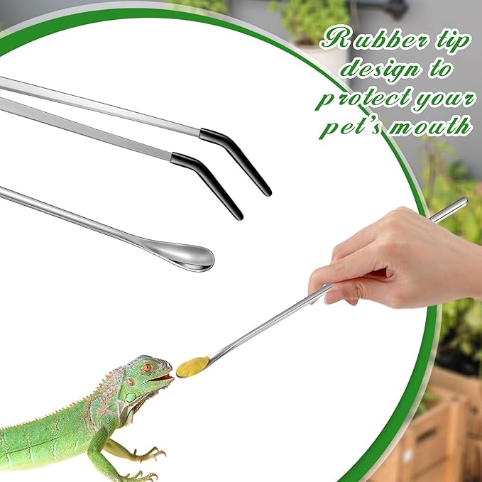 Lasnten 2 Pcs Crested Gecko Tank Accessories Stainless Steel Reptile Feeding Tong with Rubber Tip and Feeding Spoon Bearded Dragon Snake Aquarium Curved Tweezer Terrarium Feeder Tool for Tank