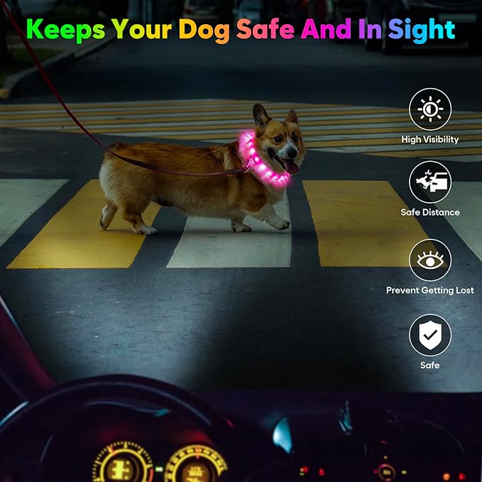 Flashseen LED Dog Collar, USB Rechargeable Glowing Lighted Up Collar, Cuttable Water-Resistant TPU Safety Collar Lights for Small Medium Large Dogs (Style 2)