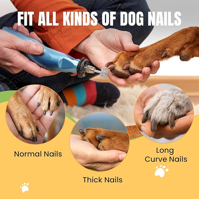 CAELUM Diamond-Coated Pet Nail Grinder Bit, 1/8” Shank for Dremel Nail Tools, Durable & Low-Noise Nail Trimmer for Dogs, Top & Side Grinding, Gentle, Precise Nail Grooming(80grit)