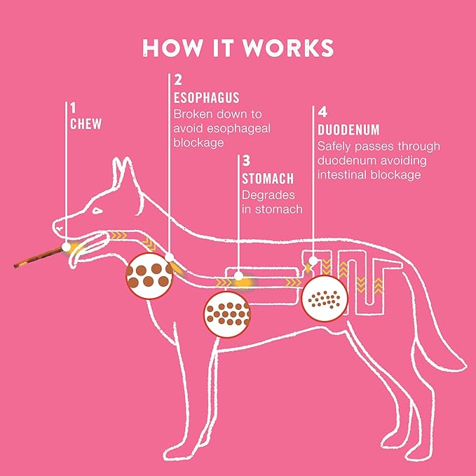 Large Pork Skin Rolls - Chicken-Wrapped Jerky Collagen Rolls - Collagen Chews for Dogs - Real Pork Skin - Rawhide Alternative - Easy to Digest Treat, 1 Bag, 2 Count