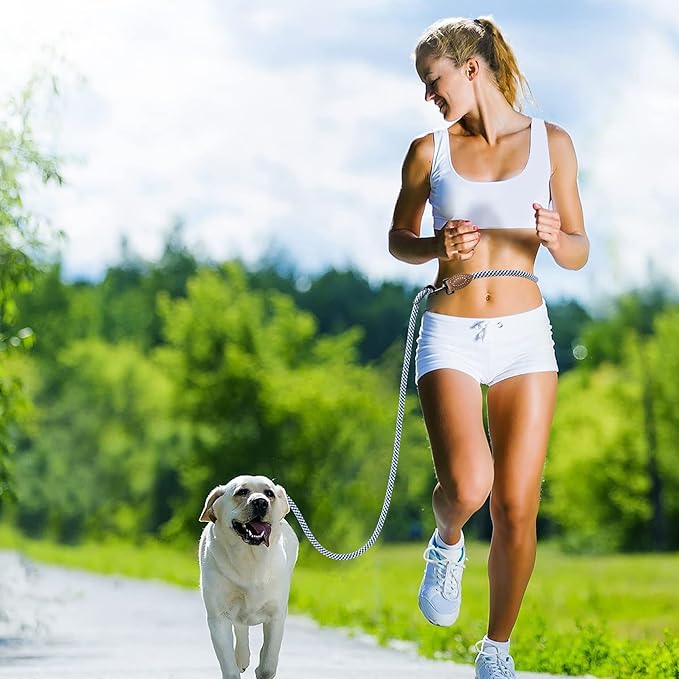 Mile High Life Hands Free Dog Leash, Crossbody Waist Leash with Genuine Leather Connection, Multifunctional Adjustable Slip Lead for Dog Walking Running (Blue Gray, 7FT)