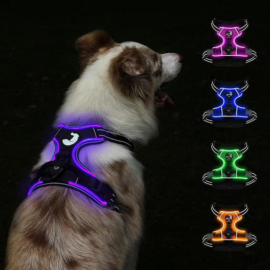Taglory Light Up Dog Harness, Rechargeable No Pull Dog Vest with 3 Lightning Modes, Reflective Dog Harness with 2 Leash Clips & 4 Adjustable Slide Strips for Large Dogs, Black-Purple, L