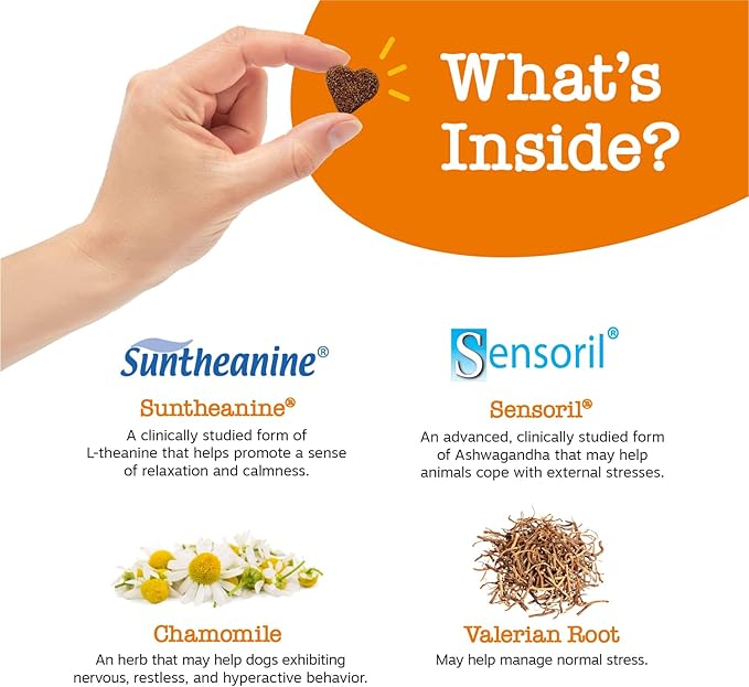 Zesty Paws Calming Chews for Dogs - for Everyday Stress, Relaxation, Composure, and Separation Turkey 90 Count