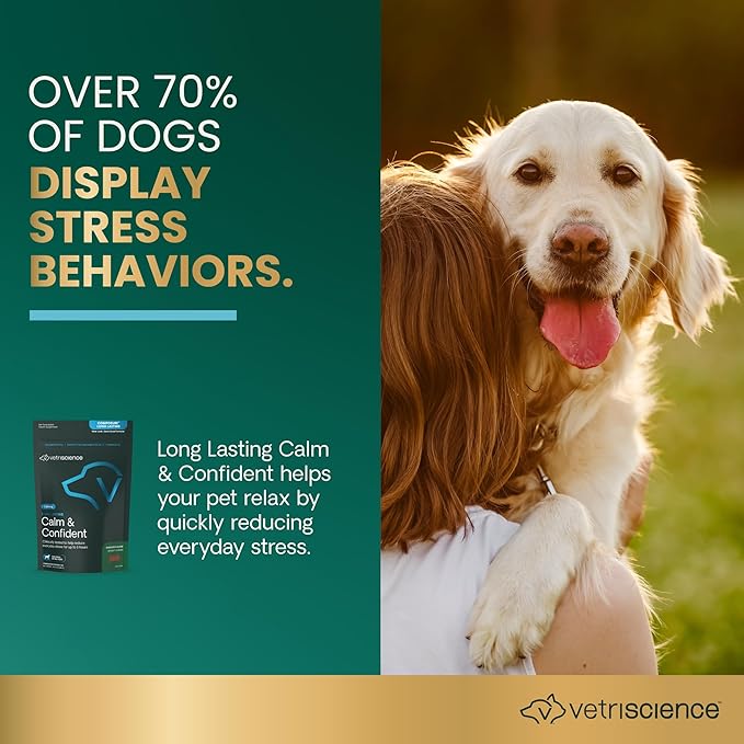 VetriScience Long Lasting Calm & Confident Calming Chews for Dogs, Supplement for Stress Support, Thunderstorms, Fireworks, & Travel, Chicken, Soft Chews, 90 Count - New Look
