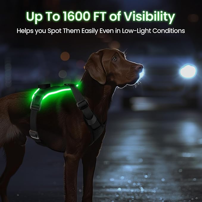 Light Up Dog Harness,Reflective Pet Harness Rechargeable,Led Dog Vest Harness for Night Walking,Adjustable Dog Safety Vest for Small Medium Large Dogs-No Pull,Black,M