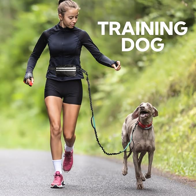 Hands Free Dog Leash, Retractable Bungee with Double Padded Handles, Waist Leash for Dog Walking, Heavy Duty for Large Dogs, Mint Green