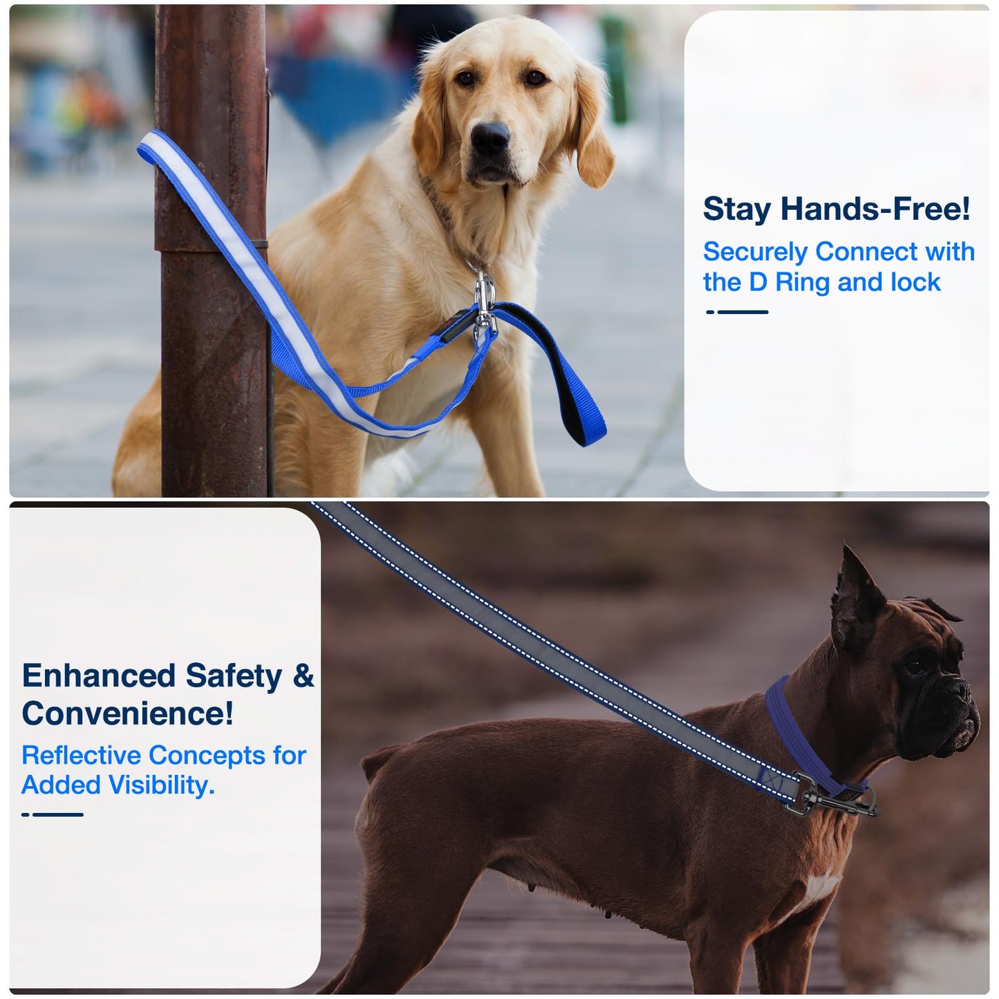 PZRLit LED Light Up Dog Leash - 4 Ft USB Rechargeable Reflective Nylon Leash with Padded Handle - Flashing Luminous Glow Leashes for Large Medium Pets Night Safety Walking-Blue