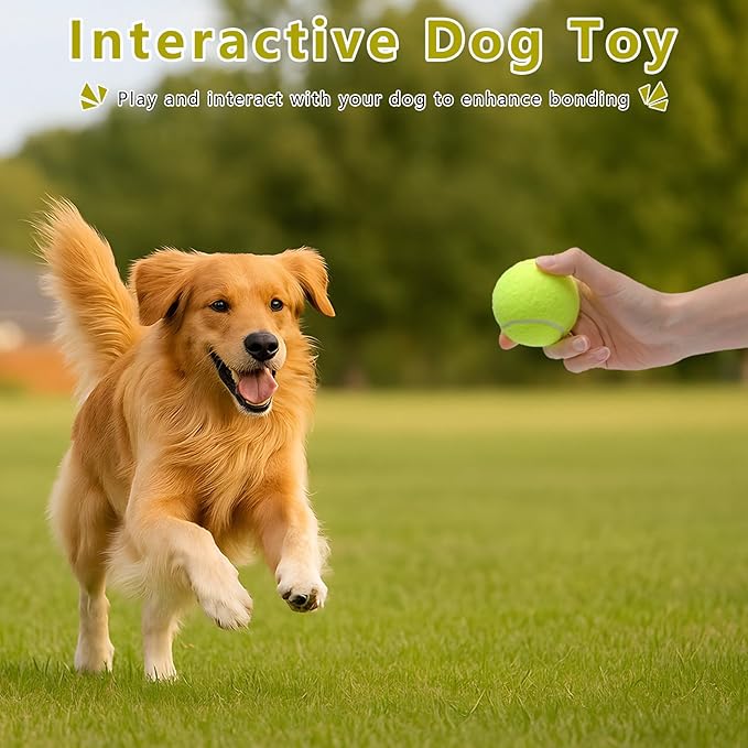 Magicorange Small Tennis Balls, 20 Pack 2 inch Tennis Balls for Dogs, Colorful Easy Catching Pet Dog Playing Ball with Mesh Bag for Easy Transport (Yellow, 2 inch)