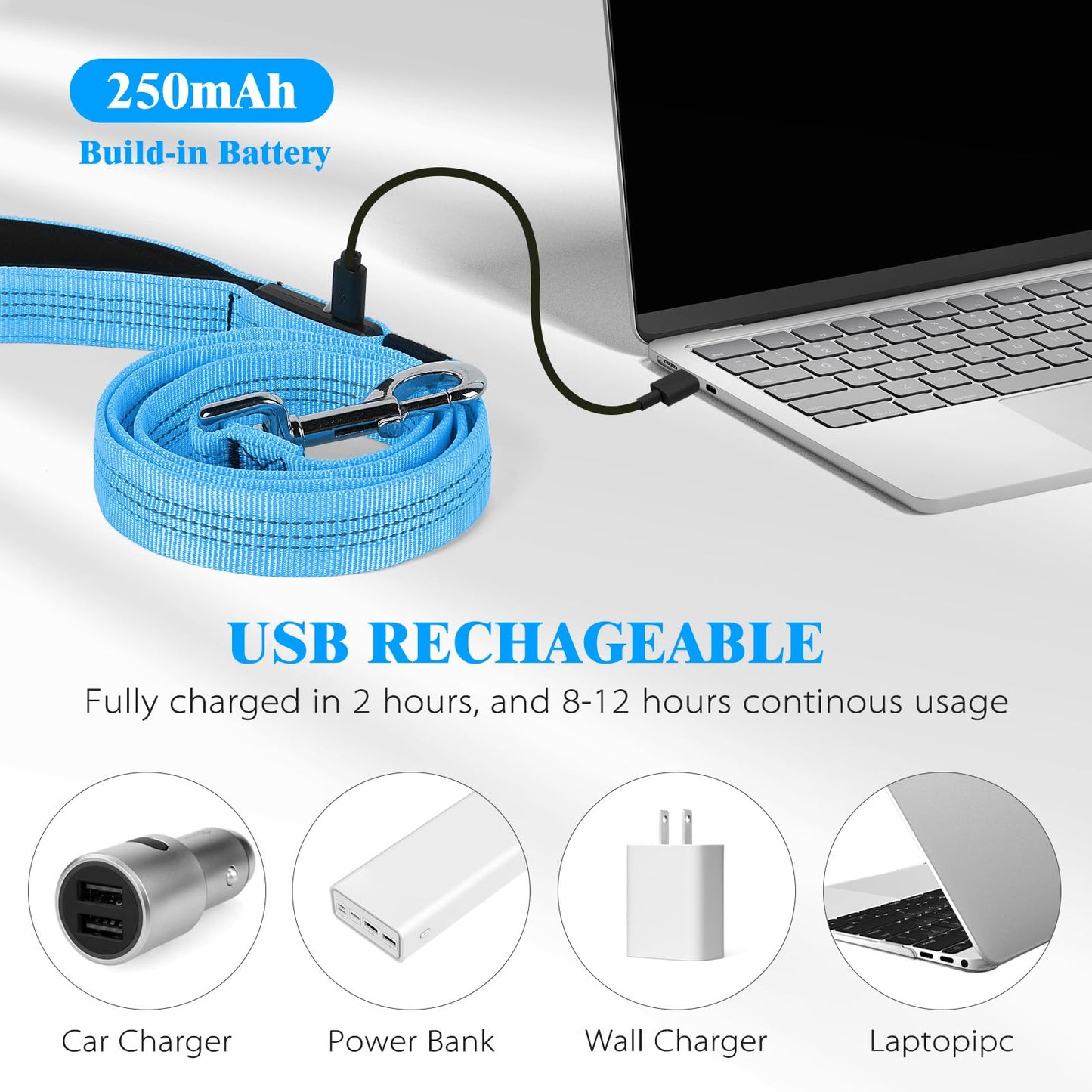 Light Up Dog Leash, 5 Ft LED Dog Lead Rechargeable Glowing Pet Leash with Soft Padded Handle, Safety Dog Lights for Night Walking (Blue)