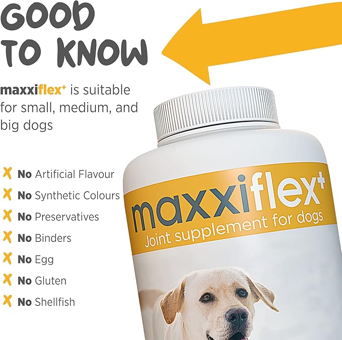 maxxipaws - maxxiflex+ Hip & Joint Supplement for Dogs with Glucosamine, Chondroitin, MSM & Collagen | Mobility, Flexibility & Discomfort Support | Senior, Adult & All Breeds | 120 Tablets