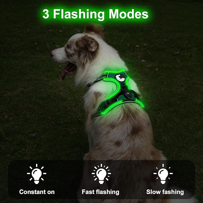 Taglory Light Up Dog Harness, Rechargeable No Pull Dog Vest with 3 Lightning Modes, Reflective Dog Harness with 2 Leash Clips & 4 Adjustable Slide Strips for Medium Dogs, Turquoise-Green, M