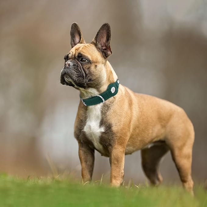 Leather Dog Collar with Airtag Holder - Apple AirTag Dog Collars - Soft Tracking Smart GPS Pet Collar for Small Medium Large Dogs Puppy (Green, L, 15"-19" Neck Fit)