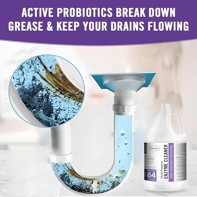 Multi-Purpose Probiotic Enzyme Cleaner, Made in USA - Pet Stain and Odor Remover - Concentrated - Professional & Home Strength Drains, Floors, Bathrooms, Toilets Trash Can, (1 gallon, Lavender)