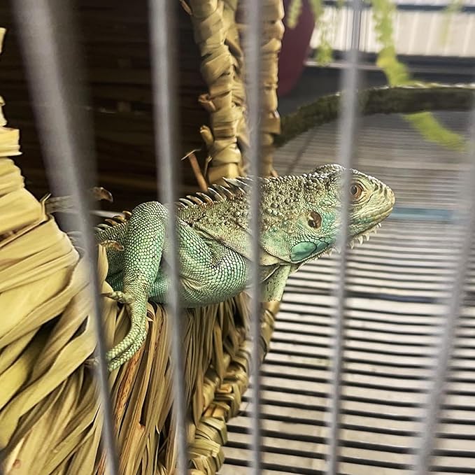 LWINGFLYER Rabbit Grass House Bunny Grass House Sleeping Chew Toys for Small Animal Bunny Hamster Chinchillas Guinea Pet Hay Bed (1PCS)