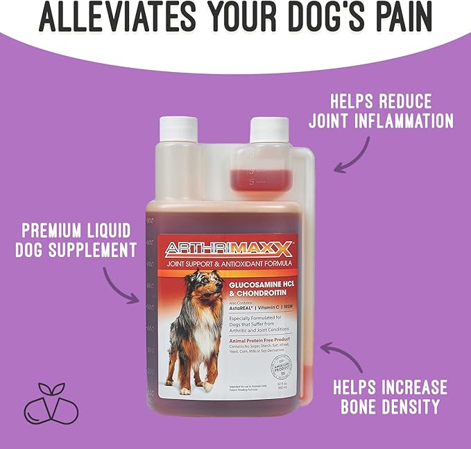 Dog Supplement for Joint Inflammation & Arthritis, Naturally Potent Dog Joint Care, Antioxidant Formula with MSM, Chondroitin, Vitamin C, & Glucosamine for Dogs, 32 fl oz