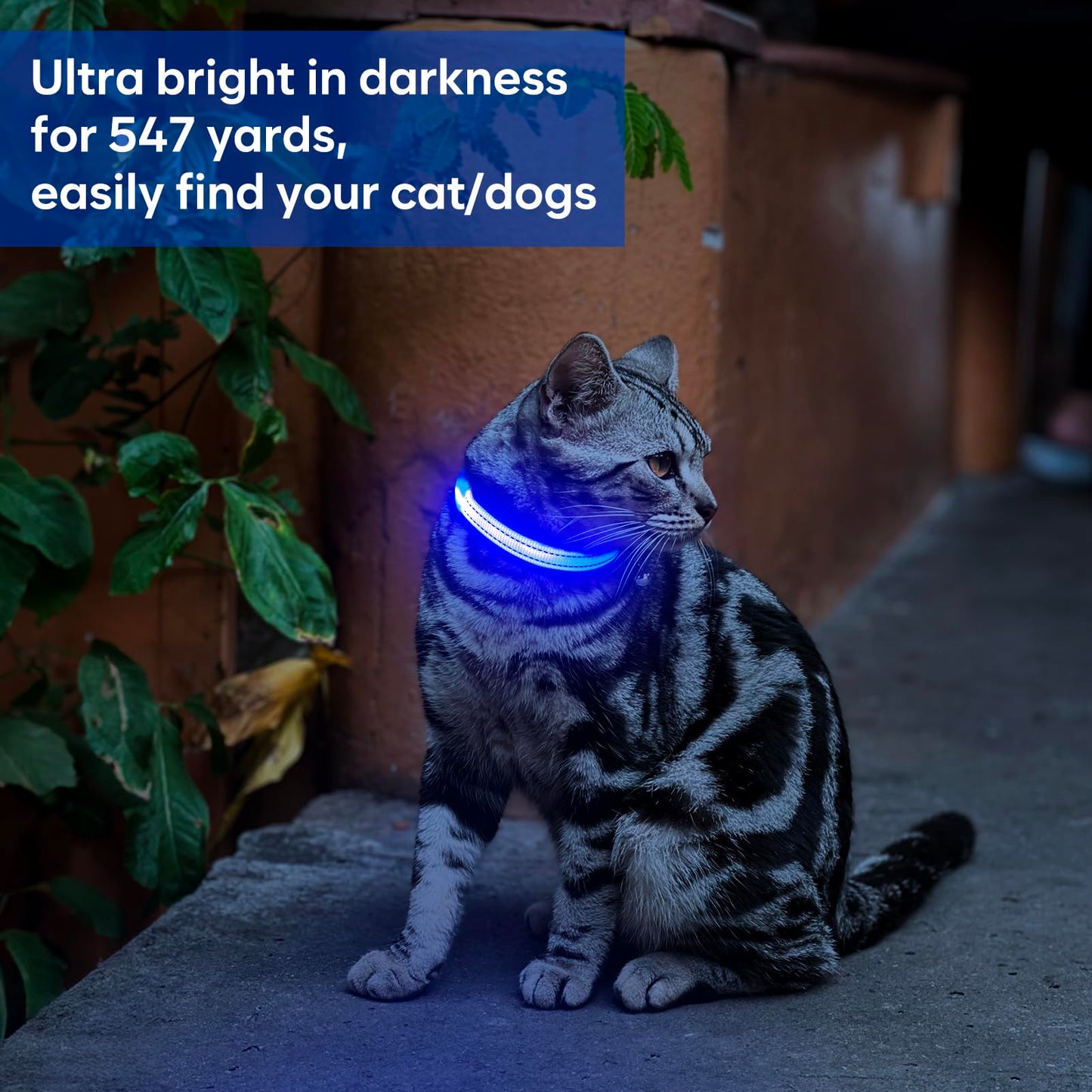 Domagiker LED Dog Collar Rechargeable - Reflective Light Up Cat Collar Adjustable Glowing Puppy Necklace Safety Dog Lights for Night Walking (XS, Blue)