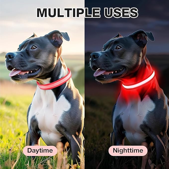 PcEoTllar Light up Dog Collar for Night Walking - LED Dog Collar Light Rechargeable Color Changing, Glow in The Dark Dog Collars Waterproof Glowing Dog Collars for Large Small Medium Dogs