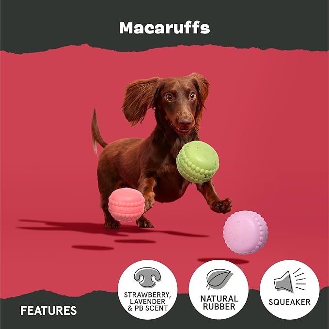 Barkbox Macaruffs | Plush Dog Toy Bundle for Small Dogs, Perfect for Cuddles and Gift Giving