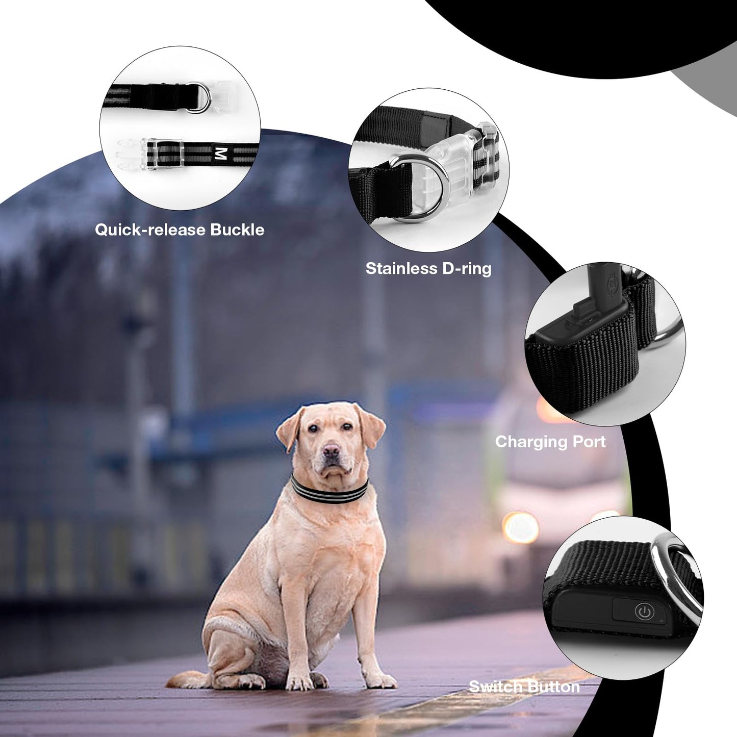 LED Dog Collar, Light Up Dog Collar, Lighted Dog Collars Adjustable for Night Walking, Glow in The Dark Dog Collars Light with USB Rechargeable Color Changing Waterproof for Dogs (Black, Small)