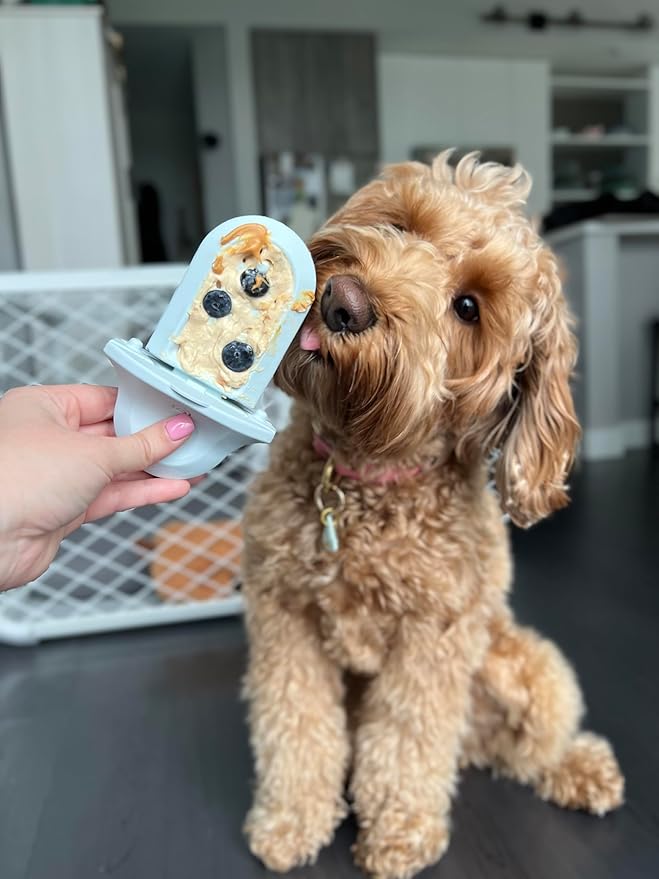 Diggs Groov Crate Training Aid for Puppies and Nervous Dogs – Calming Lick Mat for Crate Training & Separation – Puppy Enrichment Toy with Freezer Shell – BPA-Free – (Turquoise)