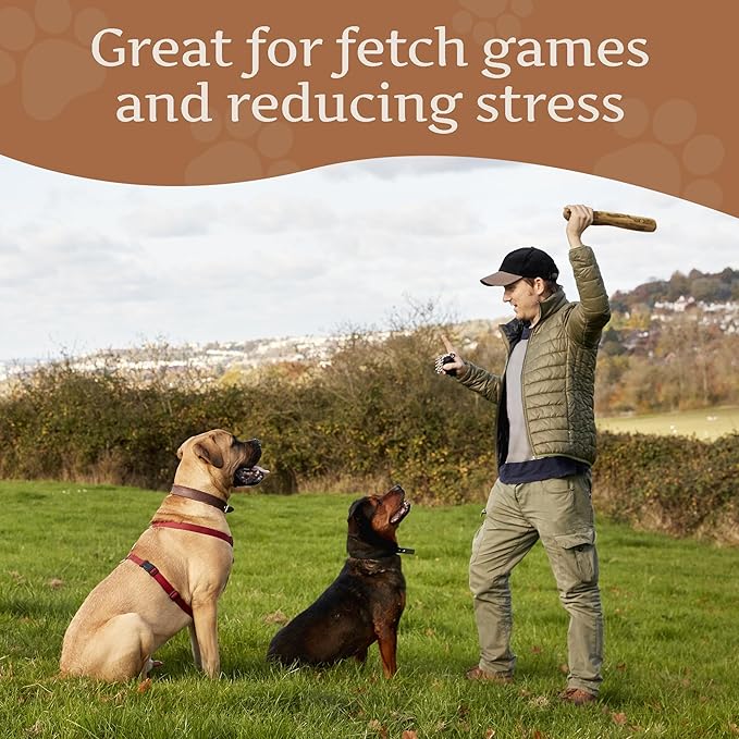 Wildfang® Olive Wood Chewing Sticks for Dogs, Large - Tough Chew Toys for Aggressive Chewers, Puppy Chew Toys for Teething, Training for Chewing Muscles, Olive Wood Stick for Dog (Over 55lbs)