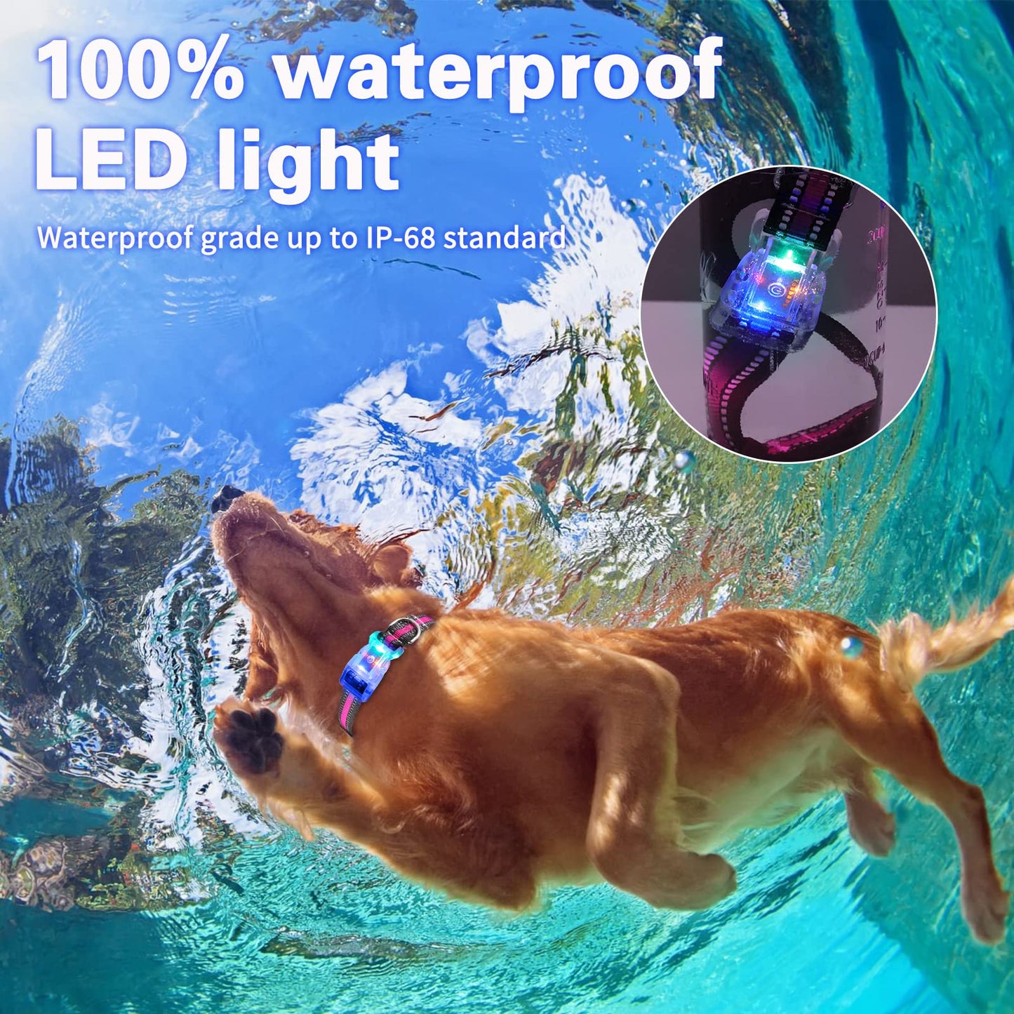 YUSHANG Buckle Glow Dog Collar Light,Adjustable Flashing LED Dog Collar Rechargeable Waterproof,Light Up Dog Collars Lights for Medium,Large Dogs- ML(Neck:14.17-24.8")