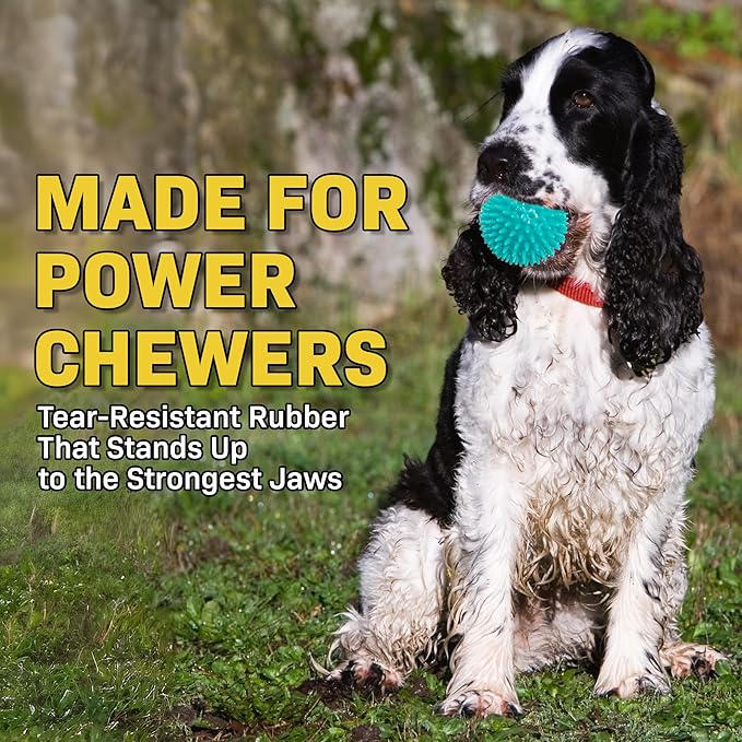 Spiky Dog Ball 3 Inch Squeaky Toy for Small - Medium Dogs Aggressive Chewers Puppy Teething Toys Dog Spike Ball for Training and Teeth Cleaning - 2 Pack