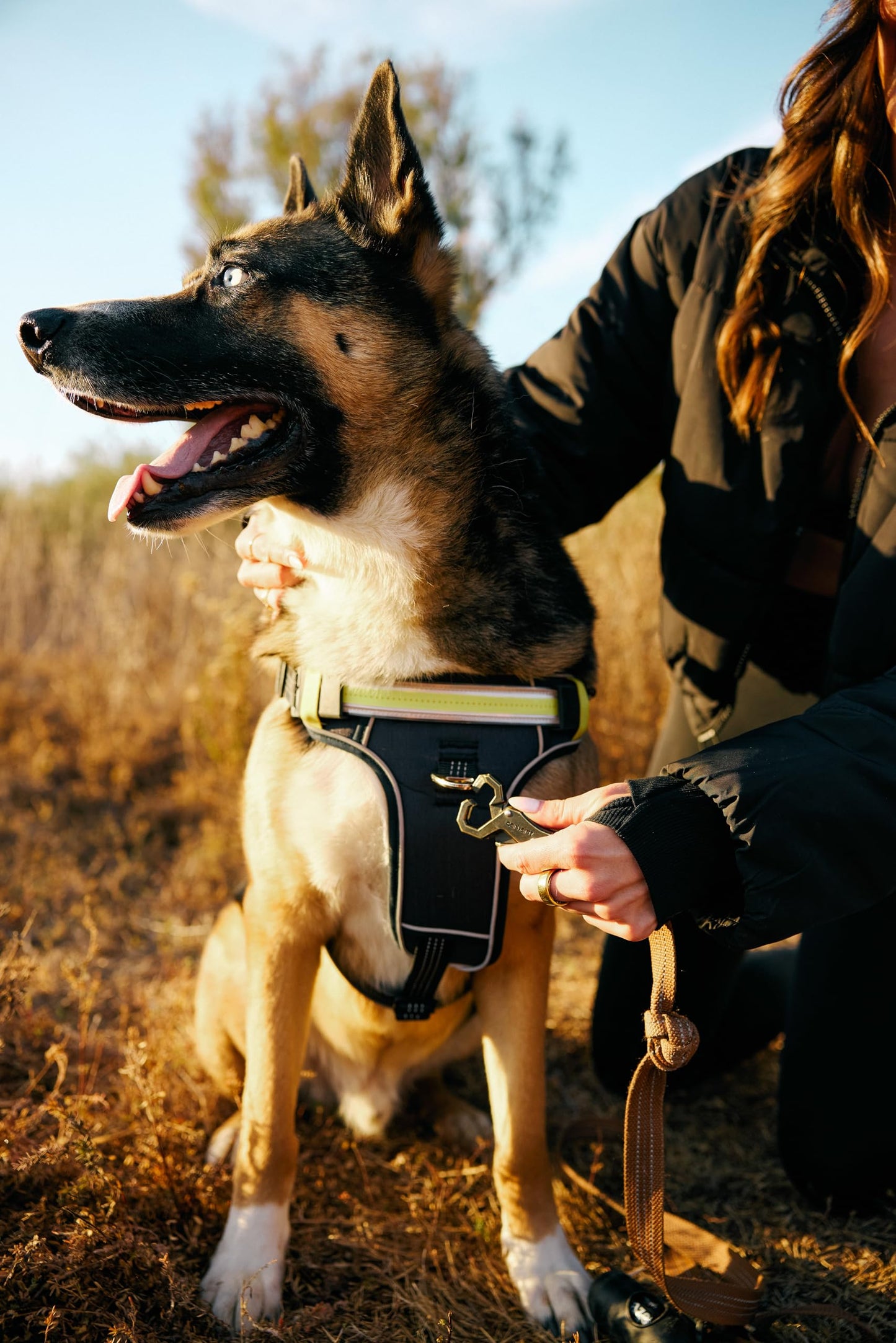 Lumi One LED Dog Harness for Night Visibility and Safety, Patent Pending – High-Visibility Light-Up Dog Vest with 1000 Lumen LED, Rechargeable Battery, Adjustable Fit, Reflective Trim (Black, Medium)