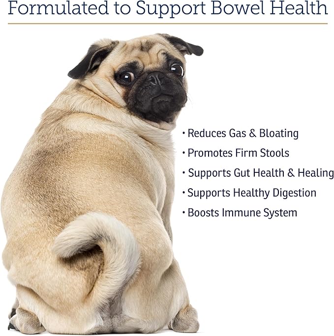 Rx Vitamins NutriGest - Dog Probiotics for Digestive Health - Probiotic for Cats - Cat Digestive Support,Anti Diarrhea for Cats and Dog Gas Relief - Probiotics for Dogs Powder - 4.65oz