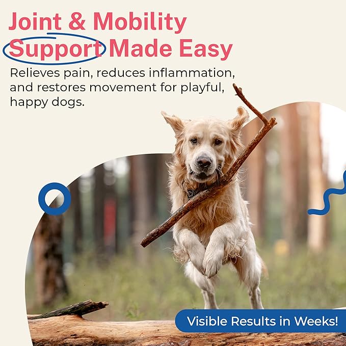 Glucosamine for Dogs - Hip & Joint Support Powder with Chondroitin & MSM - Arthritis Pain Relief, Hip Dysplasia Treatment - 800mg Glucosamine - 45 Scoops