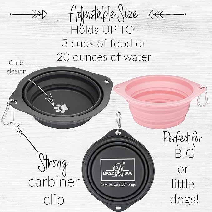 Lucky Love Dog, Collapsible Dog Bowl Compact Travel Water Dog Dish, Steel