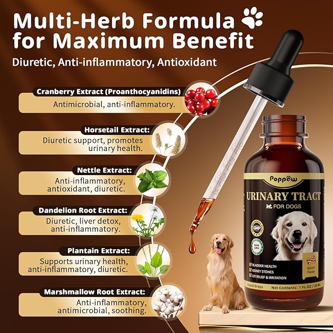 (2 Pack) Poppaw Dog UTI Treatment & Urinary Tract Support, High Cranberry Extract, 9-in-1 Natural Herbal, Vitamin B6 for Urine pH Balance, Bladder & Kidney Function, Bacon Flavor, 2 OZ