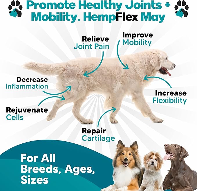 HempFlex - Glucosamine Chondroitin for Dogs - Hemp Oil for Dogs - Safe Dog Joint Supplement for All Breeds - 120 Mobility Hemp Dog Treats - Hip & Joint Support for Dogs - Joint Supplement for Dogs