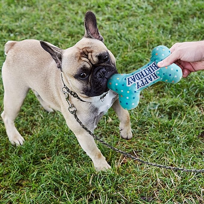 Prime Pets Dog Birthday Toys, 3 Pack, Crinkle Squeaky Dog Toys Set, Pet Toys for Small Medium Large Dogs, Stuffed Puppy Chew Toys, Dog Gift Toys