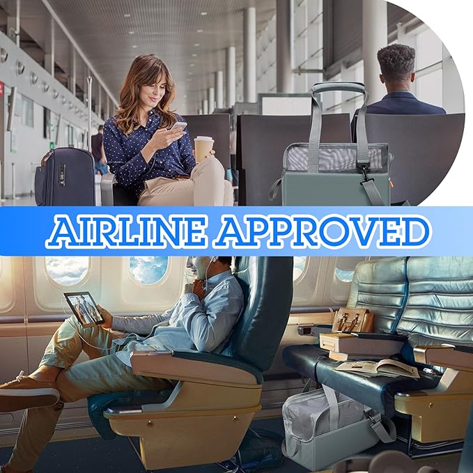 Cat Carrier, Soft Sided Breathable Mesh, Small Cats Pet Carrier up to 8 Lbs, Travel Carrier and Airline Approved Soft cat Carrier, 14.6in*10.6in*6.3in