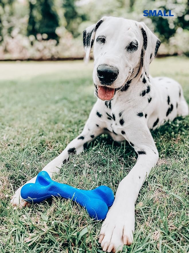 Tuff Pupper SuperChewy Tough Dog Bone Toy | Lifetime Replacement | Strong Natural Rubber | Great Dog Fetch Toy | Chew Toys for Dogs | Ultra Durable Chew Toys for Moderate Chewers | Large Breed Tested