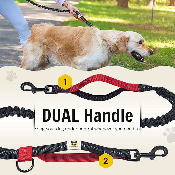 Hundefreund Hands Free Dog Leash for Medium and Large Dogs (30-150lbs) - Dual Handle Waist Leash for Running, Walking and Hiking with Adjustable Zipper Waist Belt and Reflective Elastic Bungee (Red)