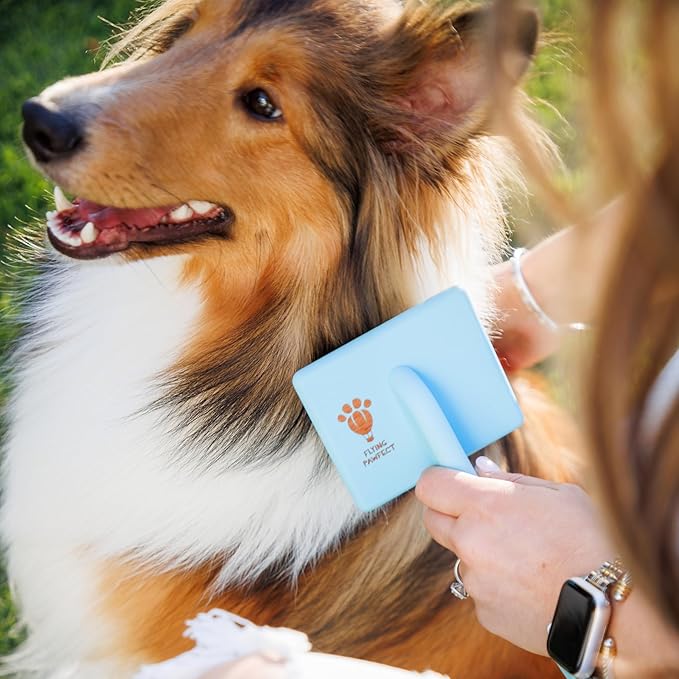 Dog Slicker Brush for Grooming Pet Hair - Best For Poodle & Golden Doodle - Long Haired Brush For Dogs - Goldendoodle Long Pins Tool For Dematting- Ideal Gift for Pet Groomers