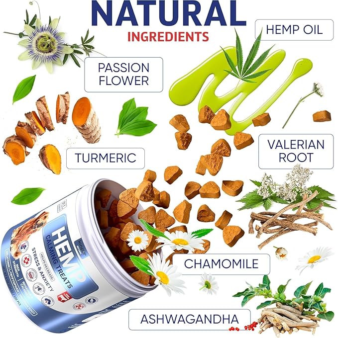 Joint Supplement for Dogs - Dog Joint Supplement with Glucosamine, Chondroitin, MSM - Supports Hip and Joint Heath, Better Mobility, Skin and Coat - for All Breeds and Ages - 120 Dog Chews, Beef