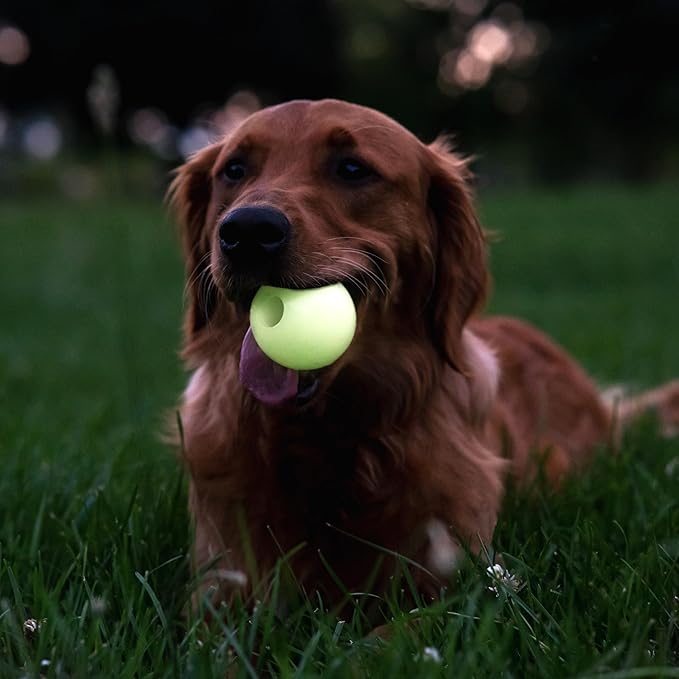 Harry Barker Glow Balls and Chew Stick, Rubber Bone for Dogs - 2.5" Glow Balls