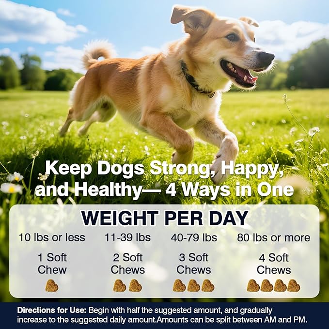 Hip and Joint Supplement for Dogs Dog Probiotics Glucosamine Chondroitin MSM Chew for Dog Arthritis Pain Relief Extend Joint Care, Probiotic for Digestive/Gut Health for Large/Small/Senior Breed Dogs